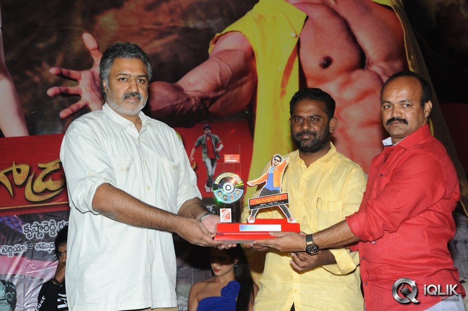 Aadu-Magadura-Bujji-Platinum-Disc-Function